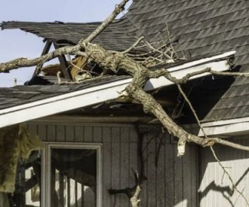 Protect Your Roof from Tree Damage – Essential Tips and Solutions