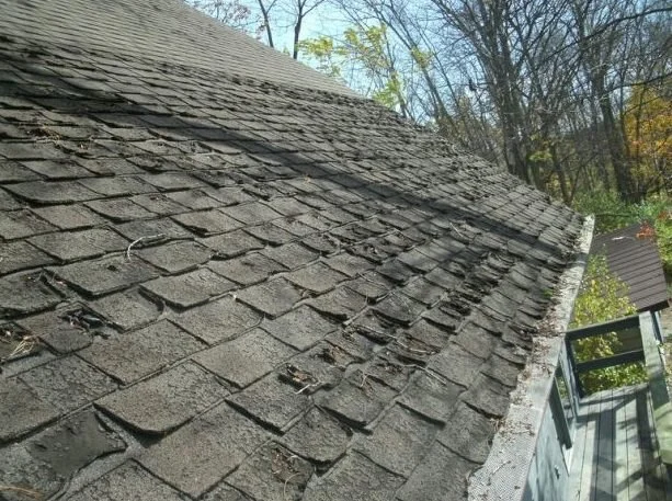 How to Tell If Your Roof Needs Replacement: Key Signs to Look For