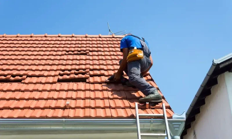 The Real Cost of Ignoring Minor Roof Damage: Why Small Issues Can Lead to Big Expenses
