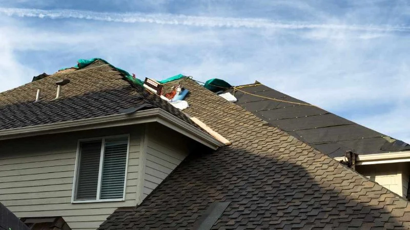 What to Look for in a Roof After Buying a New Home – Key Tips for Homeowners