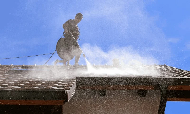 Benefits of Professional Roof Cleaning vs DIY Methods