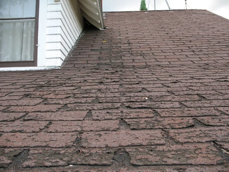 How to Tell If Your Roof Needs Replacement | Canadian Homeowner Guide