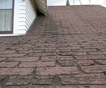 How to Tell If Your Roof Needs Replacement | Canadian Homeowner Guide