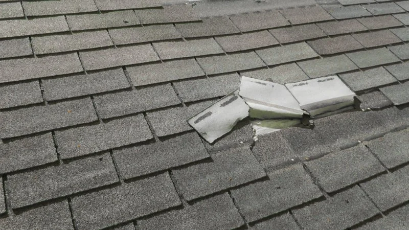 Why You Should Inspect Your Roof After Every Major Storm