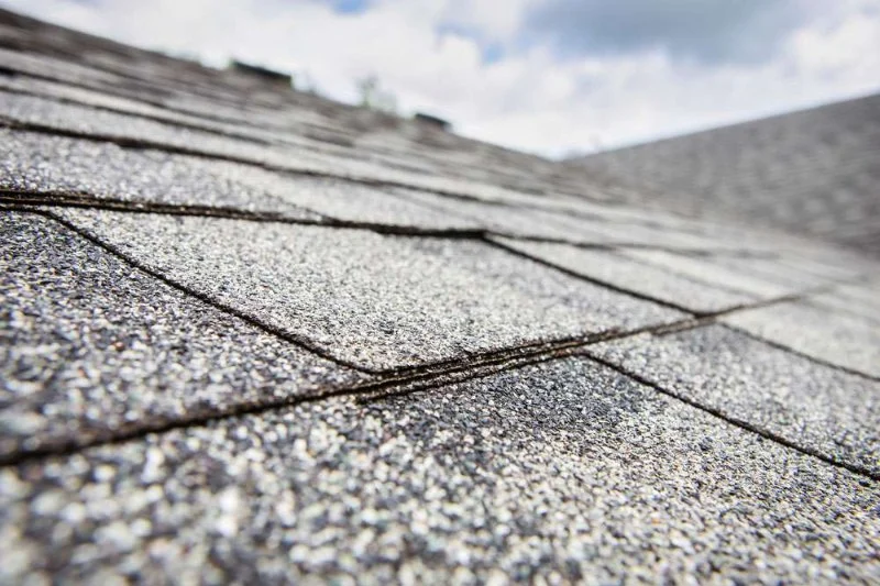 What Does Roof Granule Loss Mean for Your Shingles? | Expert Roofing Insights