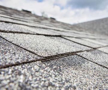 What Does Roof Granule Loss Mean for Your Shingles? | Expert Roofing Insights