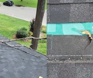 How Tree Branches Can Damage Your Roof Over Time - Prevention Tips