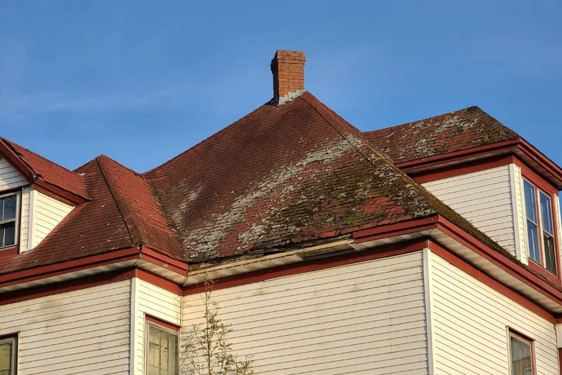 Roof Mold & Mildew Prevention: Ventilation, Insulation & Surface Treatment