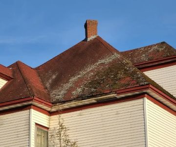 Roof Mold & Mildew Prevention: Ventilation, Insulation & Surface Treatment