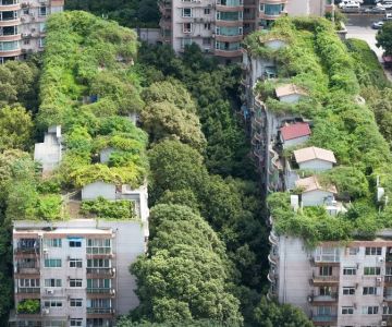 Green Roofs: Benefits, Costs, and Maintenance in Urban Canadian Settings