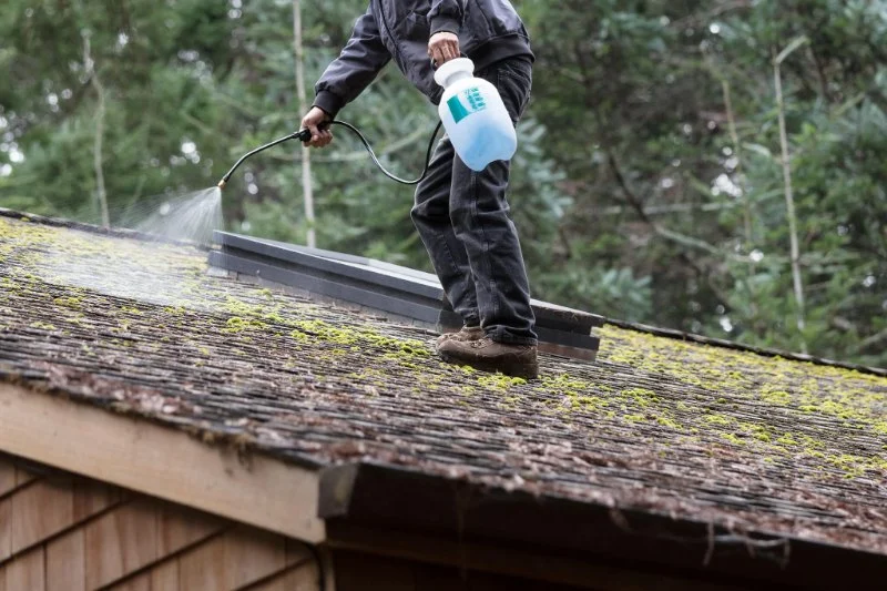 How to Clean Roof Moss Without Damaging Shingles or Coatings