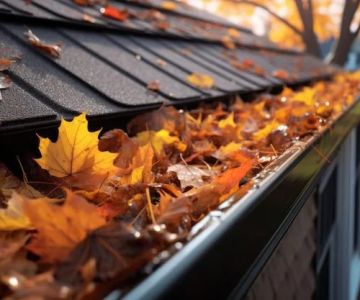 How to Keep Roof Drainage Clear During Autumn Leaf Fall: Essential Tips for Homeowners