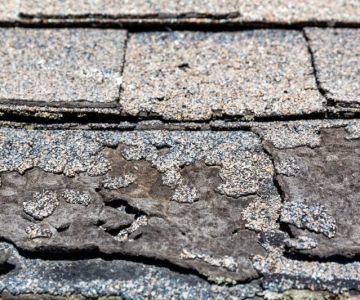 What Does Roof Shingle Granule Loss Look Like & Why It Matters