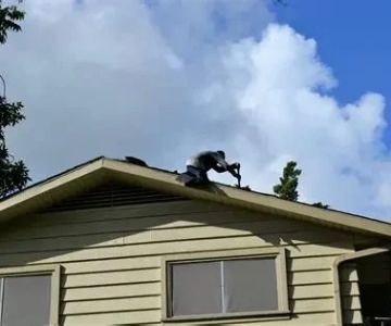 Should You Upgrade Your Roof While Doing Other Exterior Renovations?