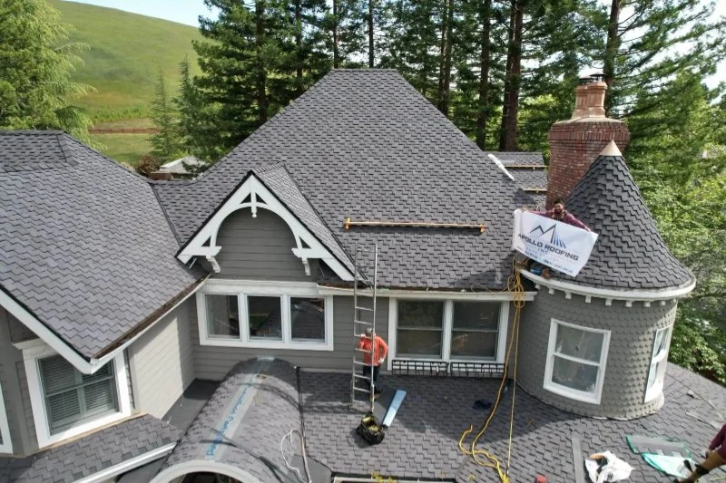 Roof Leak Repair: DIY vs Professional — What You Should Do