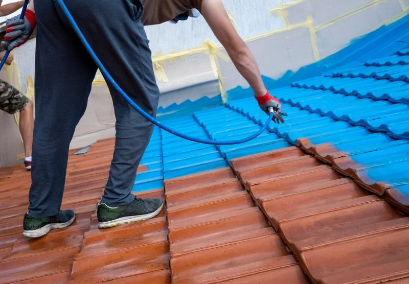 Should You Paint Your Roof or Replace It? Pros and Cons Explained