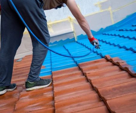 Should You Paint Your Roof or Replace It? Pros and Cons Explained