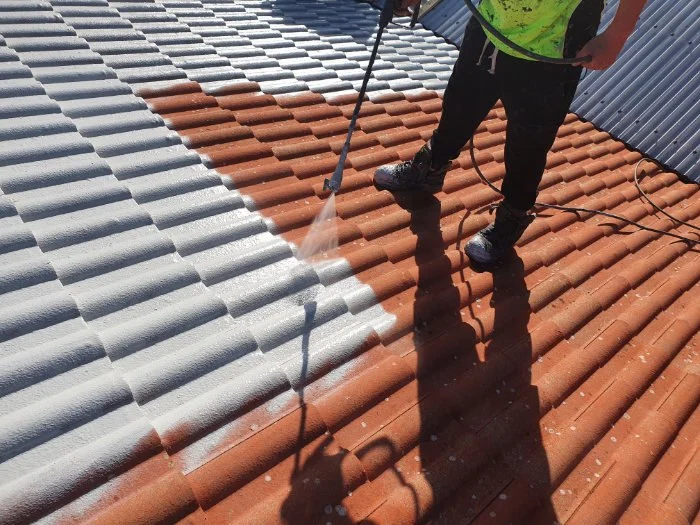 Should You Paint Your Roof or Replace It? Pros & Cons | Pickering Roofing