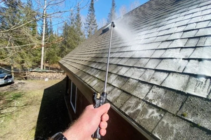 Roof Moss & Algae Prevention: Tips & Products That Work