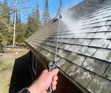 Roof Moss & Algae Prevention: Tips & Products That Work