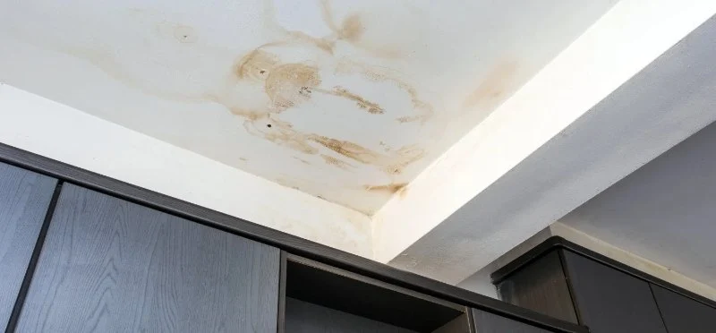 What Happens If Roof Ventilation Is Poor: Condensation, Mold & Decay Risks