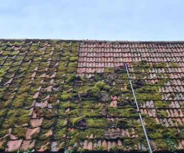 How to Deal with Moss & Lichen Growth on Roof Shingles
