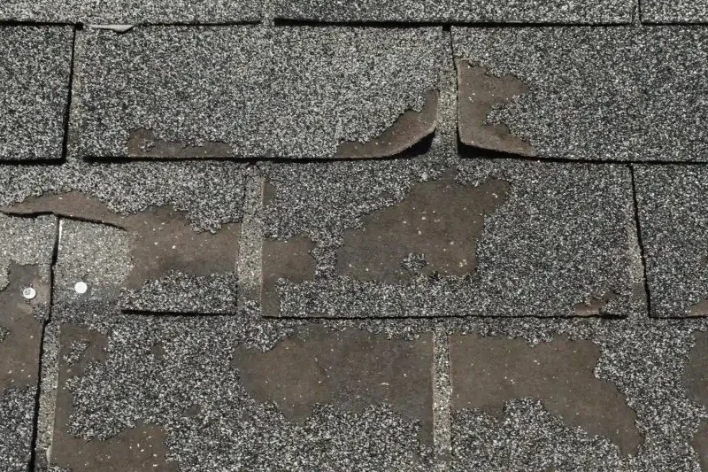What Does Roof Shingle Granule Loss Look Like & Why It Matters