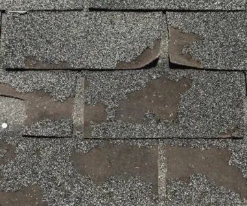 What Does Roof Shingle Granule Loss Look Like & Why It Matters