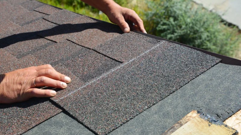 Asphalt Shingle Quality: How to Spot the Difference Between Premium and Low-Cost Options