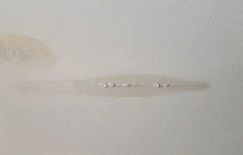 Roof Leak Emergency: What to Do Immediately When Water Gets In
