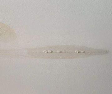 Roof Leak Emergency: What to Do Immediately When Water Gets In