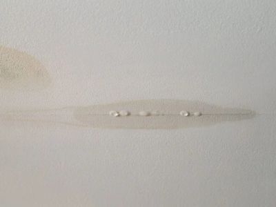 Roof Leak Emergency: What to Do Immediately When Water Gets In