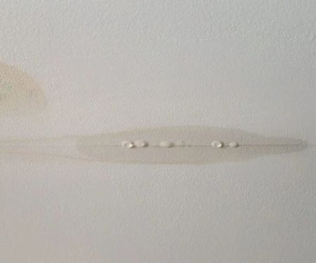 Roof Leak Emergency: What to Do Immediately When Water Gets In