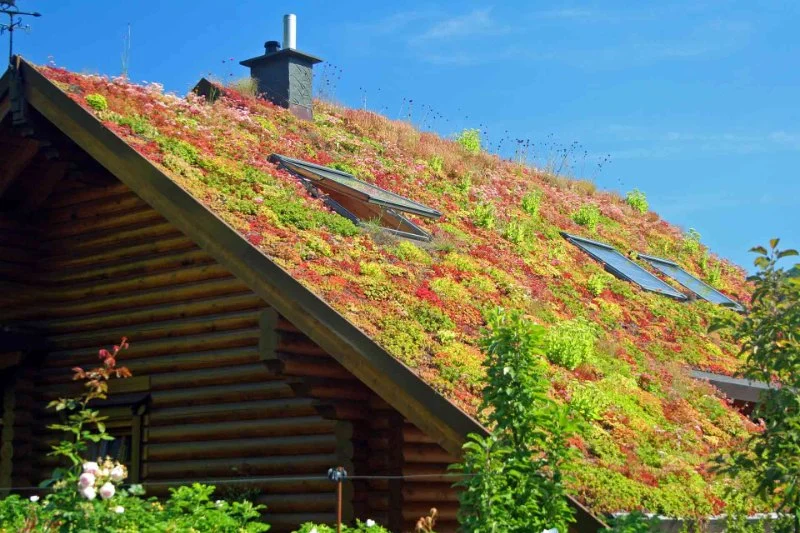 Green Roof Installation Cost in Canada 2026 Living Roof Guide