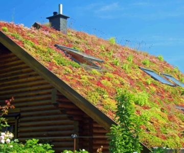 Green Roof Installation Cost in Canada 2026 Living Roof Guide