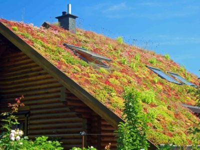 Green Roof Installation Cost in Canada 2026 Living Roof Guide
