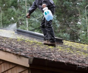 Soft Wash Roof Cleaning in Canada: Effective Chemical Treatments for Moss and Algae
