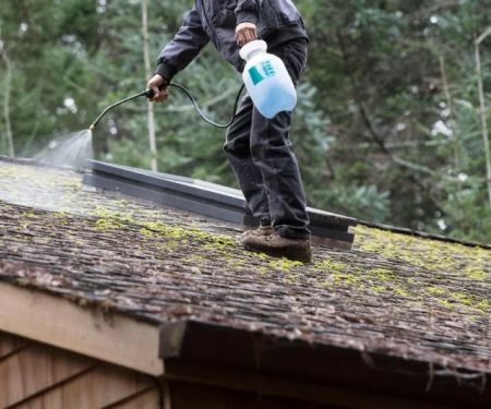 Soft Wash Roof Cleaning in Canada: Effective Chemical Treatments for Moss and Algae