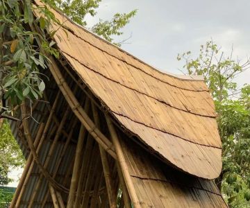 Bamboo Roofing in Canada: Can Exotic Materials Survive Canadian Winters