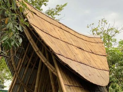 Bamboo Roofing in Canada: Can Exotic Materials Survive Canadian Winters