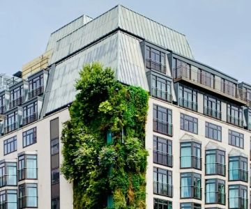 Green Building Roof Certifications in Canada: LEED and Net Zero