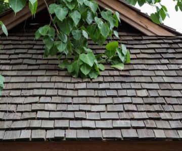 Cedar Shake Roof Maintenance in Canada Cost, Lifespan and Care Guide