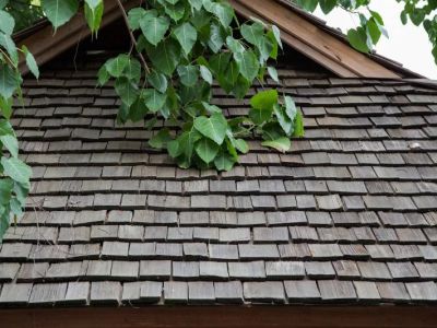 Cedar Shake Roof Maintenance in Canada Cost, Lifespan and Care Guide